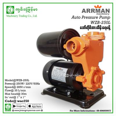 Auto Pressure Pump ARRMAN WZB-250L 250W (1"x1")