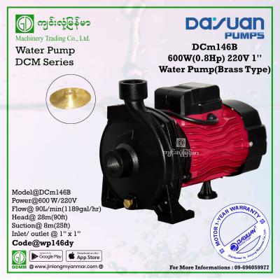 Water Pump DAYUAN DCm146B 600W 1"x1"(220V)