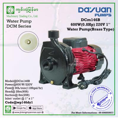 Water Pump DAYUAN DCm146B 600W 1"x1" (220V)