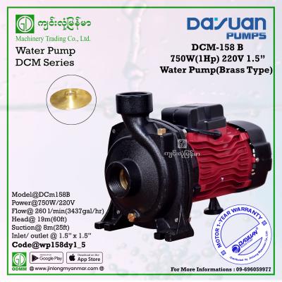 Water Pump DAYUAN DCm158B 750W 1.5"x1.5" (220V)