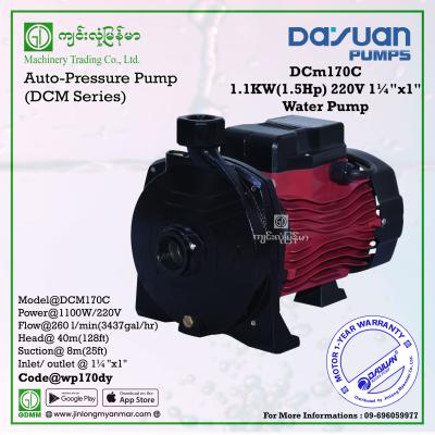 Water Pump DAYUAN DCM170C 1.1kw 1¼"x1"(220V)