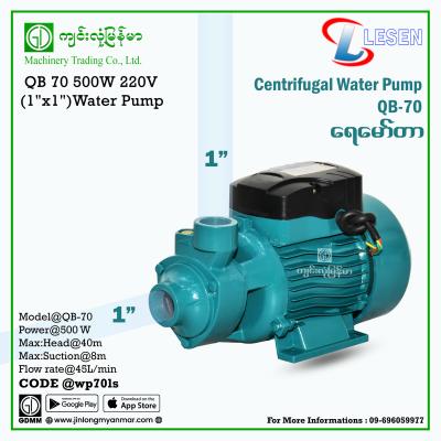 Water Pump LESEN QB-70 500W (1"x1")