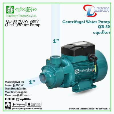 Water Pump LESEN QB-80 700W (1"X1")