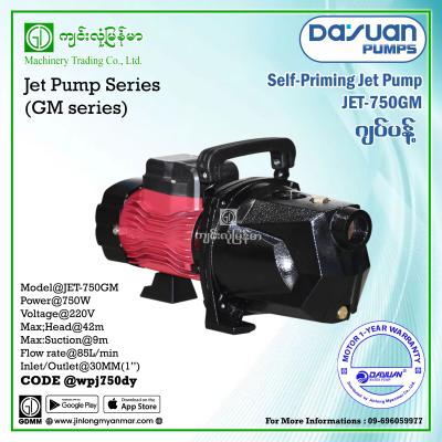Water Pump DAYUAN JET750GM 750W (1"x1")