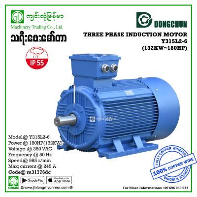 AC MOTOR DONGCHUN  Y-315L2-6 THREE PHASE