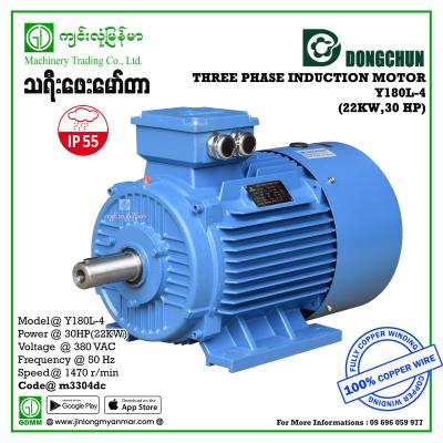 AC Motor DONGCHUN Y-180L-4 380V Three Phase