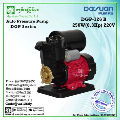 Auto Pressure Pump DAYUAN DGP126B 250W 1"x1"(220V)