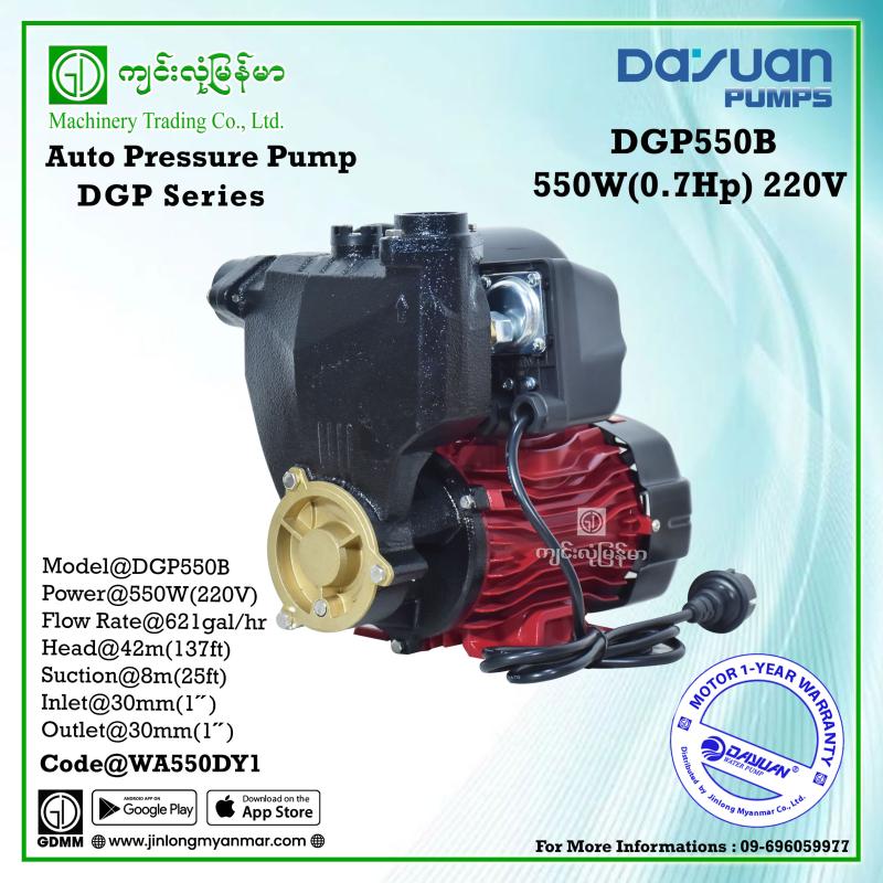 Auto Pressure Pump DAYUAN DGP550B 550W 1"x1" (220V)