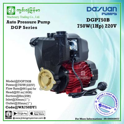 Auto Pressure Pump DAYUAN DGP750B 1hp 1"x1" (220V)