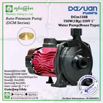 Water Pump DAYUAN DCm158B 750W 1"x1" (220V)