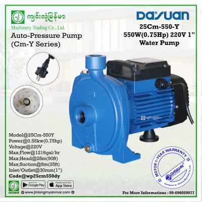 Water Pump DAYUAN 25Cm-550Y 0.55kw 1"x1" (220V)