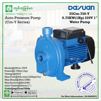 Water Pump DAYUAN 25Cm-750Y 0.75Kw 1"x1" (220V)