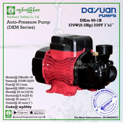 Water Pump DAYUAN DKm60-1B 370W (1"x1")