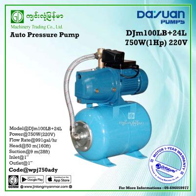Auto Pressure Pump DAYUAN DJm100LB+24L 750W 1"x1" (220V)