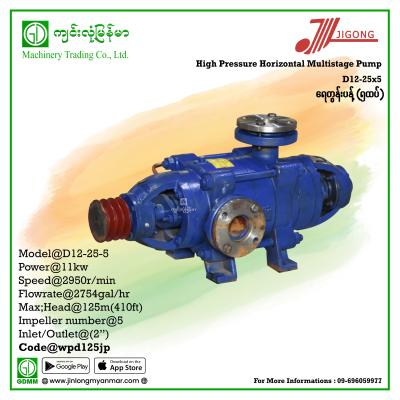 Multistage Pump JIGONG D12-25-5 125m 2" (Pulley)(11Kw)
