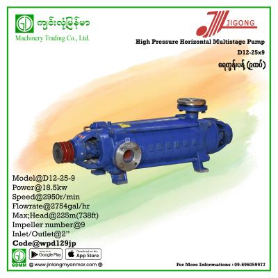 Multistage Pump JIGONG D12-25-9 225m 2"(18.5Kw-Pulley)