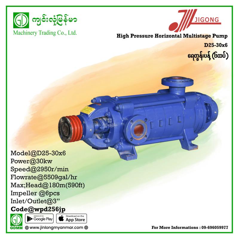 Multistage Pump JIGONG D25-30-6 180m 3" (30kw-Pulley)