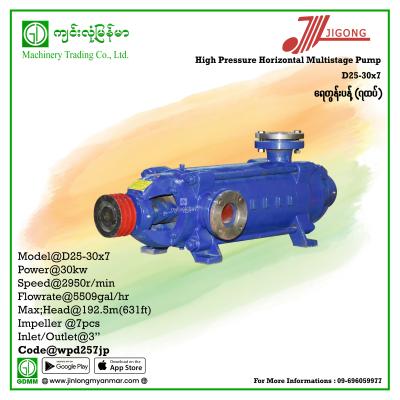 Multistage Pump JIGONG D25-30-7 192.5m 3"(30KW Pulley)