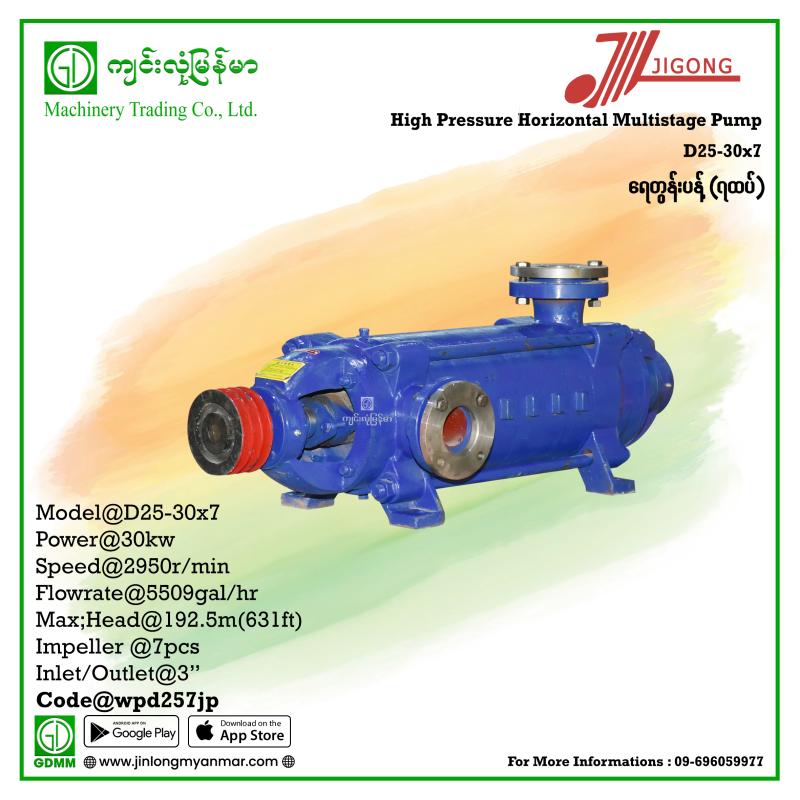 Multistage Pump JIGONG D25-30-7 192.5m 3"(30KW Pulley)