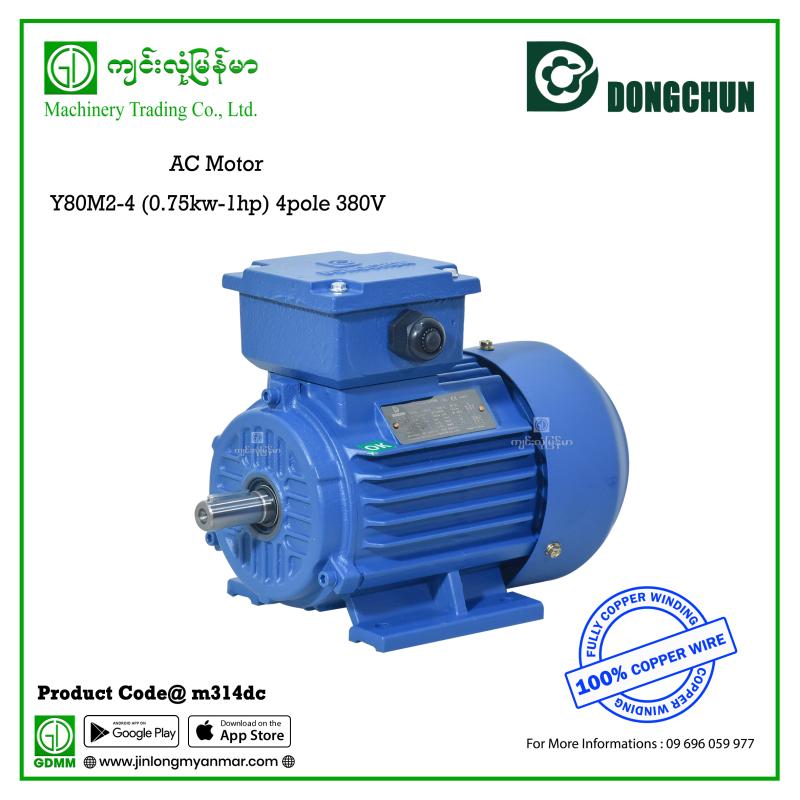 AC Motor Dongchun Y80M2-4 (0.75kw-1hp) 4pole 380V