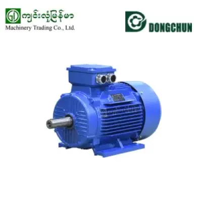 DONGCHUN Y160M-6 Motor