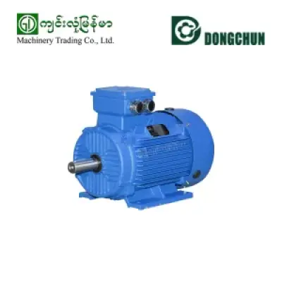 DONGCHUN Y160L-2 Motor