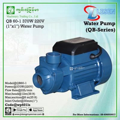 Water Pump LESEN QB60-1 370W (1"x1")