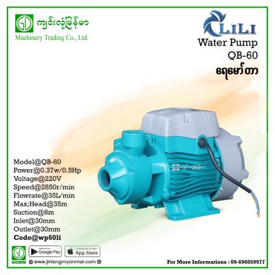 Water Pump LILI QB 60 0.37kW(0.5hp) (1" x 1")