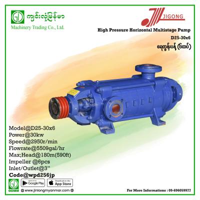 Multistage Pump JIGONG D25-30-6 180m 3" (30kw-Pulley)