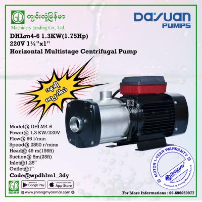 Horizontal Multistage Centrifugal Pump DAYUAN DHLM4-6 1.3kw 1.25"x1"