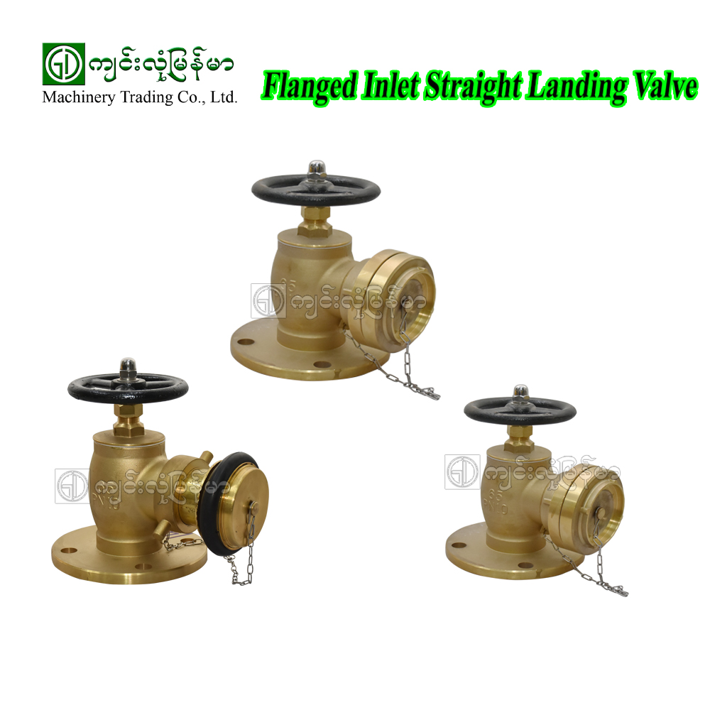 Flanged Inlet Straight Landing Valve PN10-65(2.5